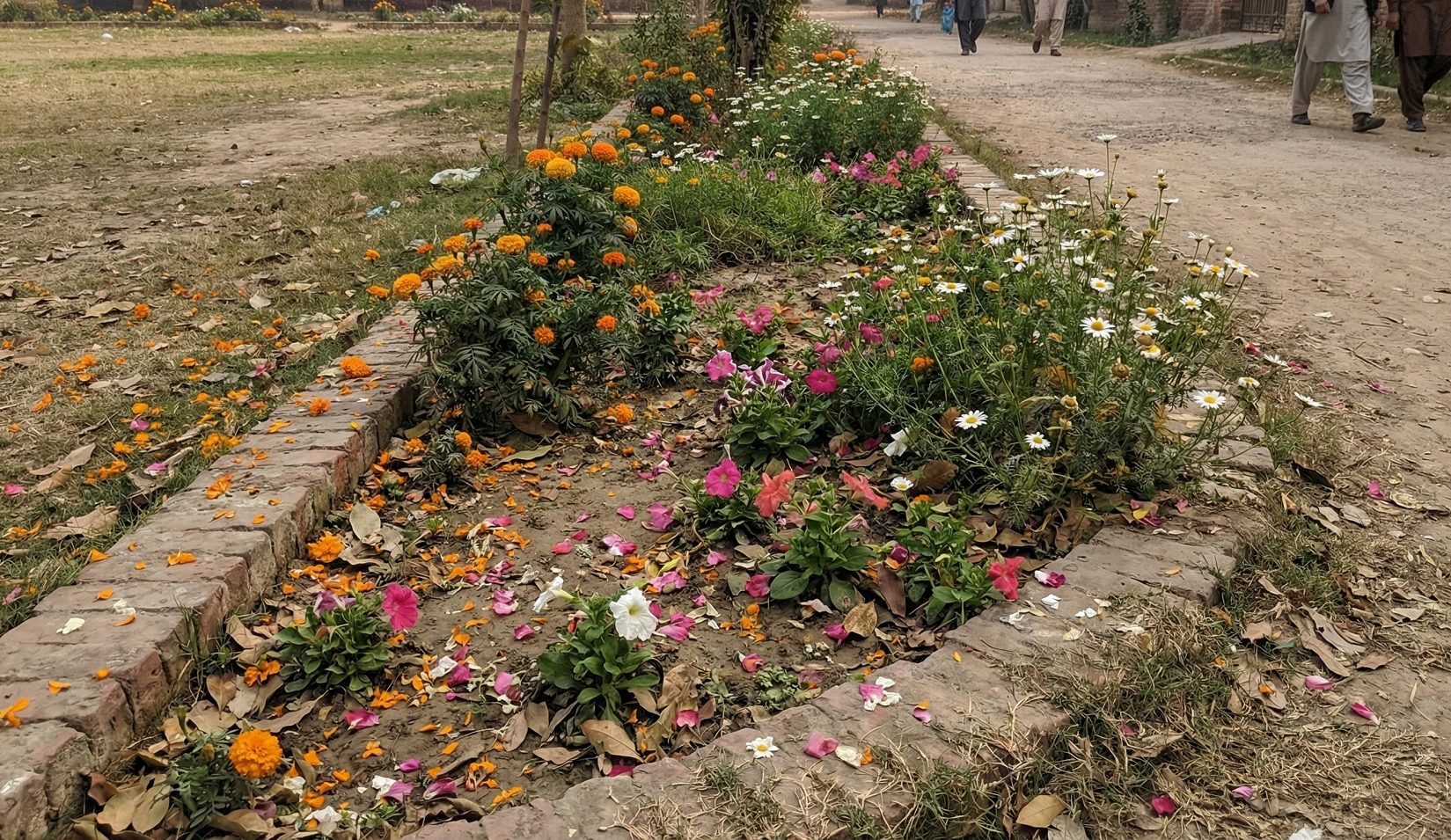 flowers